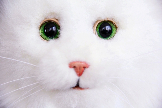 Детский благотворительный фотопроект KidsEra