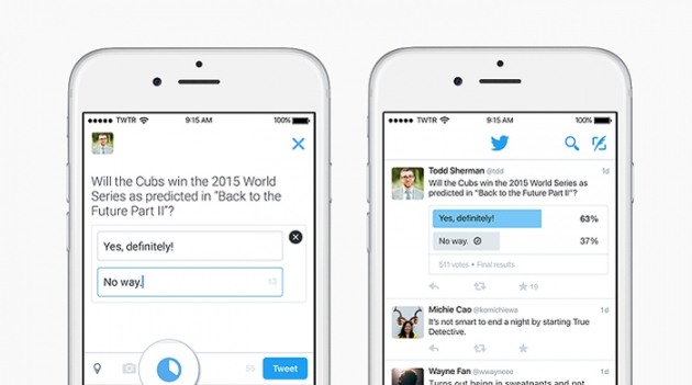 Да или нет: Twitter объявил о запуске опросов