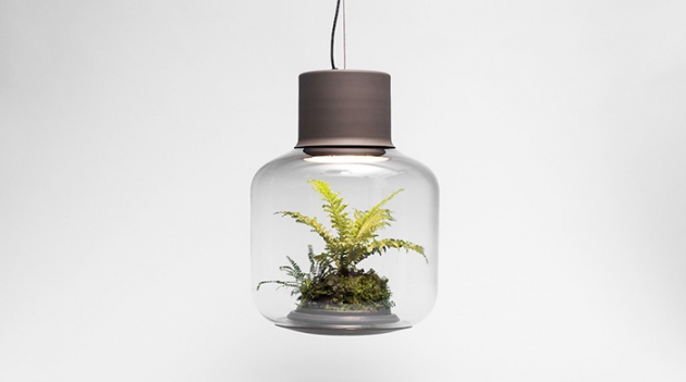 Лампы-террариумы для ленивых цветоводов