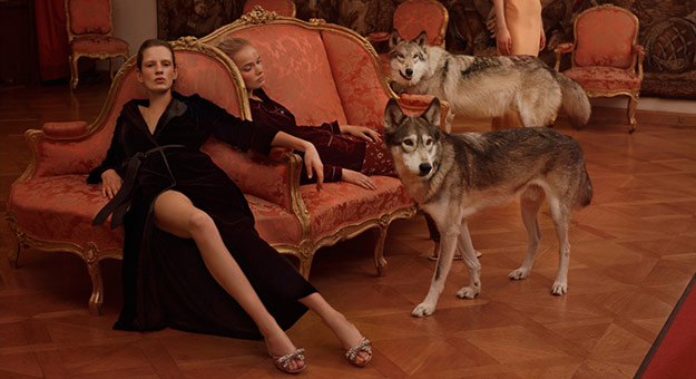 Модели и волки в новогодней фотоистории Mytheresa