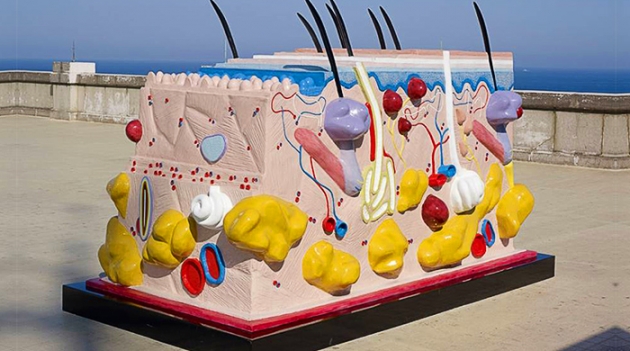 Скульптурная тропа: работы Херста, Хьюма и Руби в Лондоне