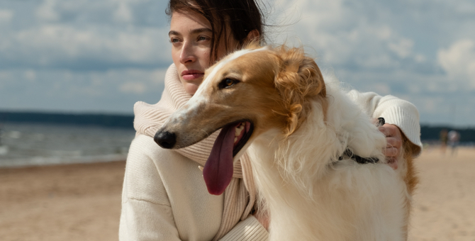 12Storeez выпустил капсульную коллекцию джемперов из кашемира