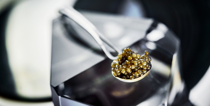 В ресторанах «Белуга» и «Кококо» пройдут икорные ужины