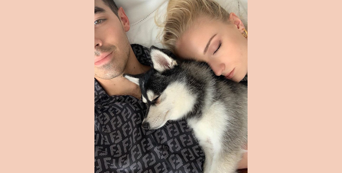 Софи Тернер и Джо Джонас сделали татуировки в память о погибшей собаке