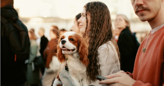 Фестиваль «Антон тут рядом» объявил третью волну артистов