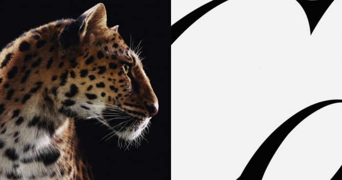 Cartier показал рекламную кампанию с пантерой