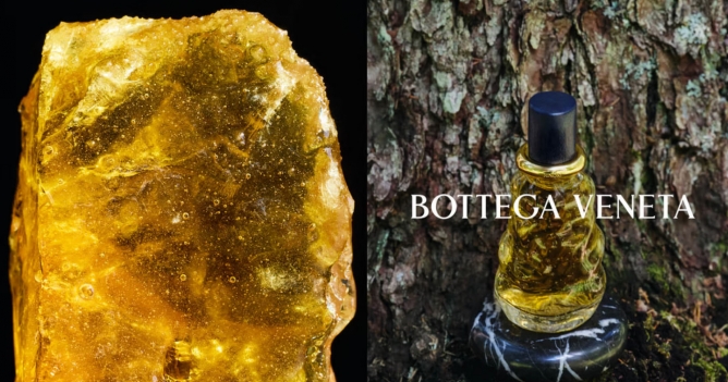 Bottega Veneta выпустил коллекцию парфюмов