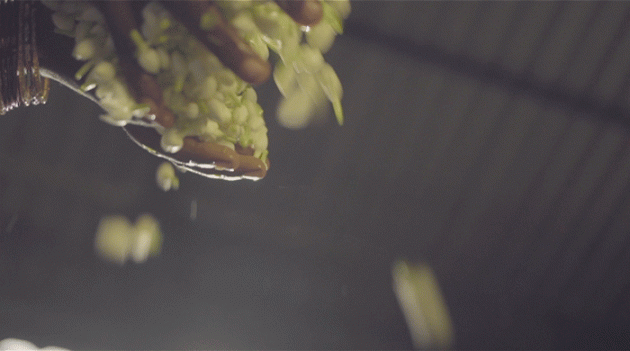 Как создавался McQueen Parfum