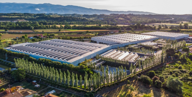 Prada посадит три миллиона деревьев к 2030 году