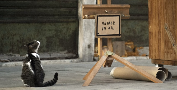 Бэнкси без разрешения привез экспозицию на Венецианскую биеннале