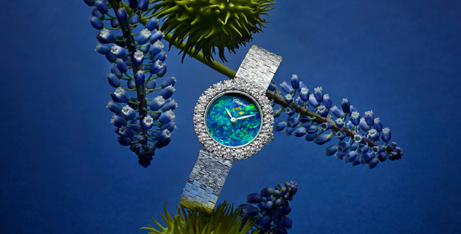 Chopard выпустил ювелирную коллекцию часов к 50-летию дома
