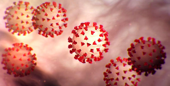 Минздрав сравнил российскую вакцину от COVID-19 с американским и немецким аналогом