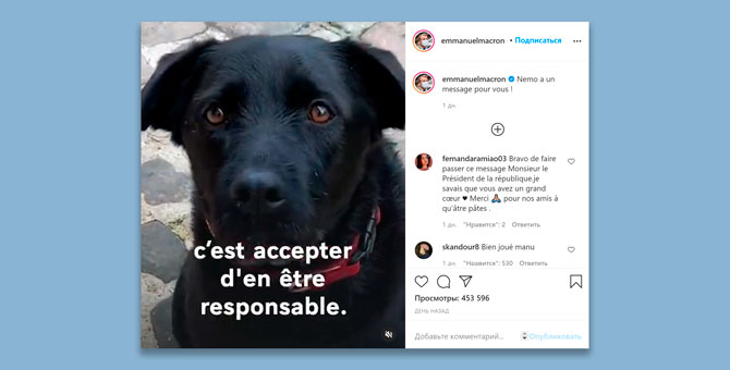 Собака Эмманюэля Макрона выступила с новогодним обращением и призвала брать животных из приюта