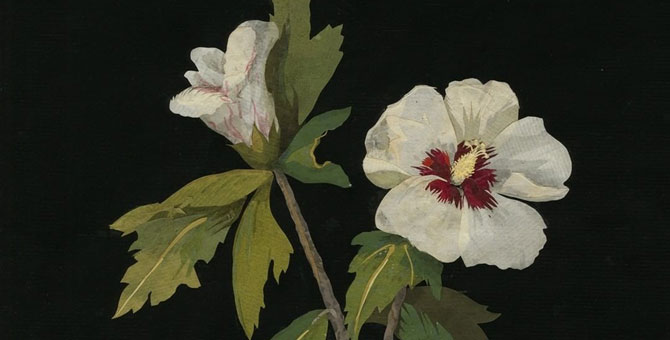 Британский музей представил интерактивную онлайн-коллекцию с 4,5 млн объектов