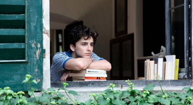 Тимоти Шаламе намекнул на сиквел «Зови меня своим именем»