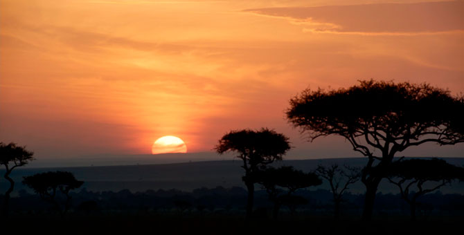 Режиссер фильма «Король Лев» сообщил, что включил в ленту фотографию