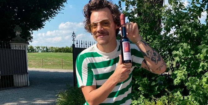 Гарри Стайлз отрастил усы