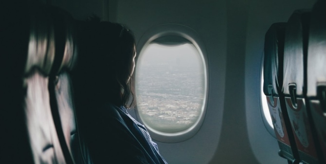 S7 разрешила пассажирам путешествовать со своими питомцами на соседних креслах