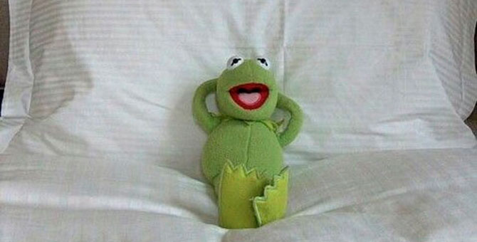 У мем-культуры появилась собственная биеннале