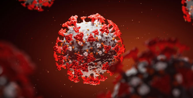 В Москве объявили вакцинацию работников ИП и самозанятых