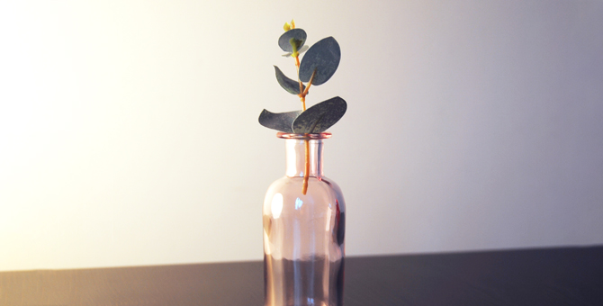 Какие запахи нравятся миллениалам