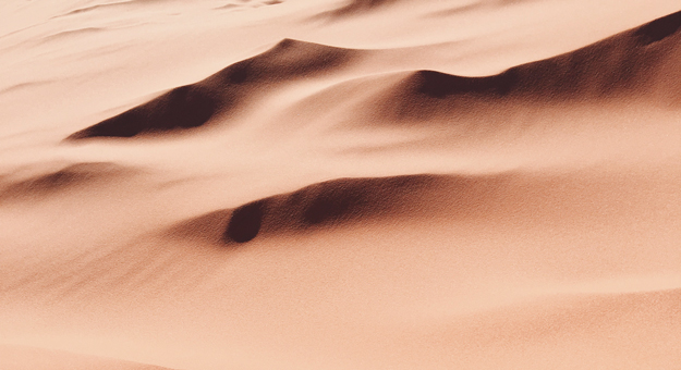 Как называется душевная боль, причиняемая экологическими катастрофами