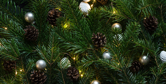 Врачи, курьеры и таксисты сняли свое новогоднее обращение