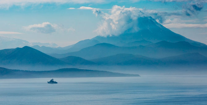 У заказника «Вулканы Камчатки» зафиксировали массовую гибель морских животных