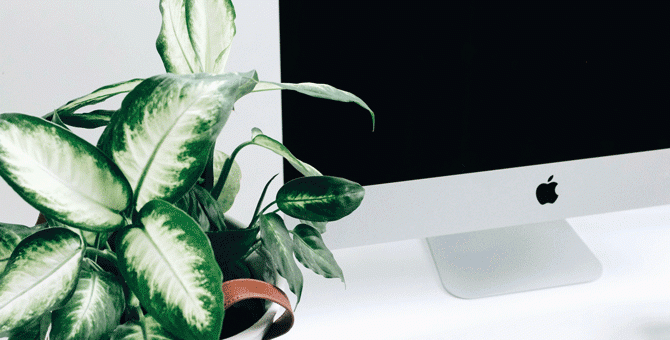 Стажеры в Facebook, Apple и Google получают больше, чем средний американец