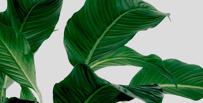 Что обозначают экомаркировки на одежде и где их искать