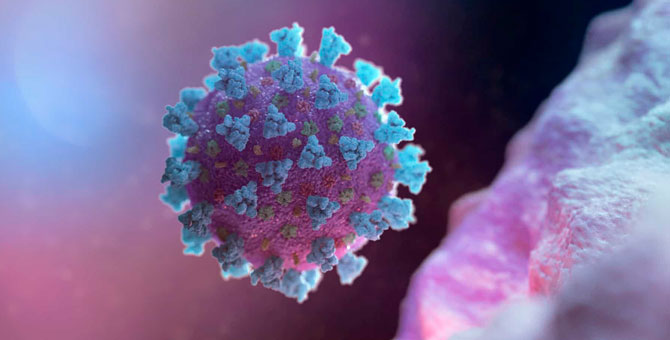 В ЮАР нашли новый тип коронавируса