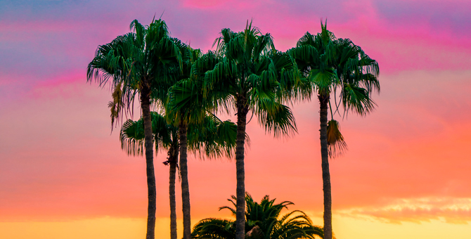 Как Pantone определяет цветовые тренды