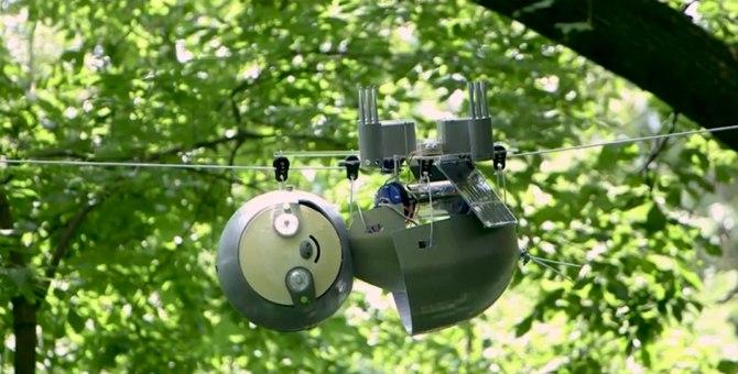 В США придумали робота-ленивца для наблюдения за животными и растениями