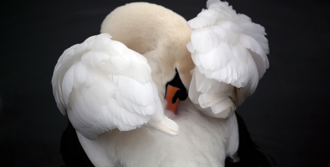 Почему лучшее всегда недостижимо