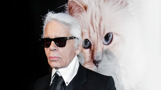 Шупетт снова сорвала банк