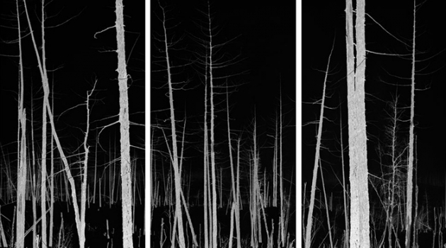 Аукцион шедевров, закопанных на необитаемом острове