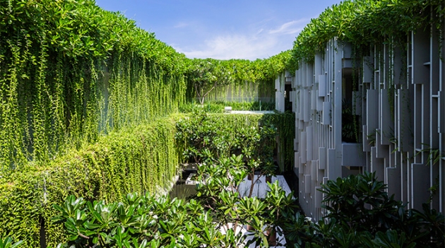 Утопаем в зелени вьетнамского Naman Spa