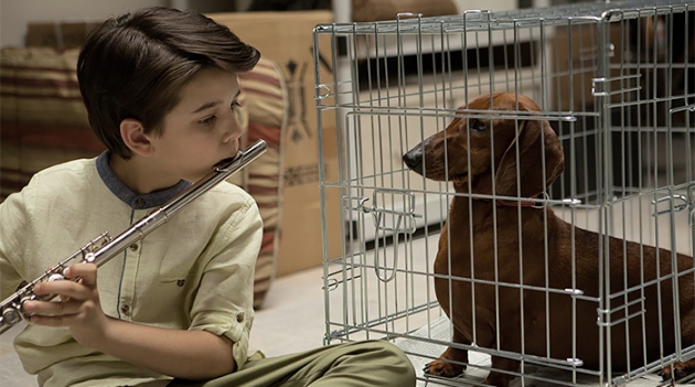 Дэнни ДеВито в черной комедии \"Такса\"