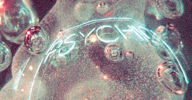 Альбом Николаса Джаара и Дейва Харрингтона в сети