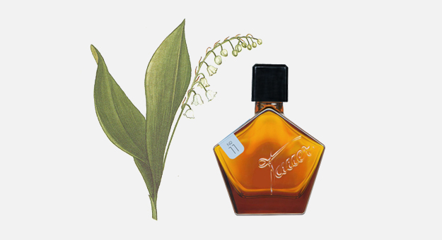 Ландыш, дурман и мандрагора: ядовитые растения в природе и парфюмерии