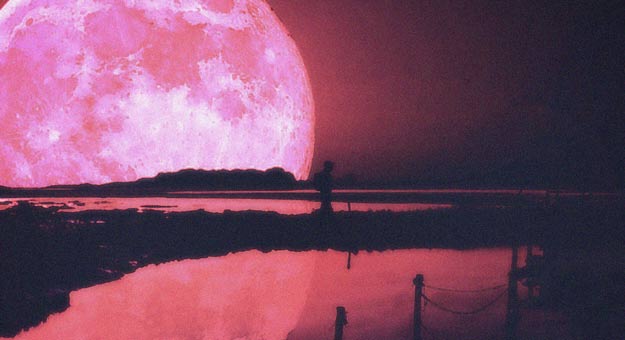 Плейлист акустических баллад от группы On-The-Go