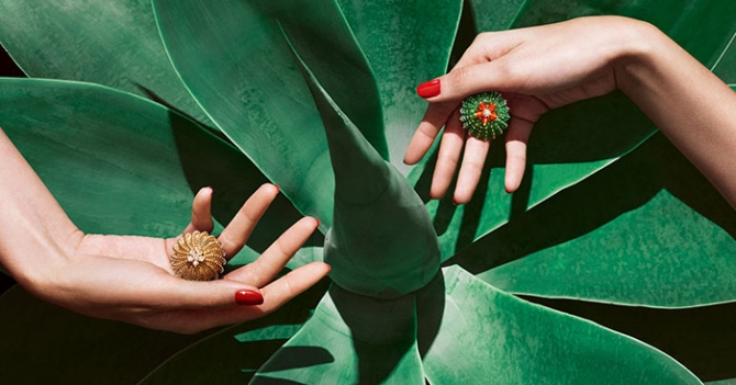 Свободная духом: коллекция украшений Cactus de Cartier