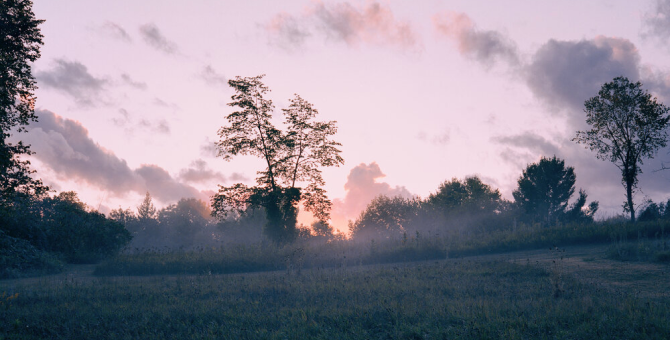 В России наконец запустился Spotify. Вот 5 недавних релизов, чтобы послушать их там