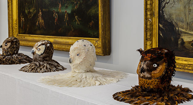 Почему нужно обязательно посмотреть выставку Яна Фабра в Эрмитаже