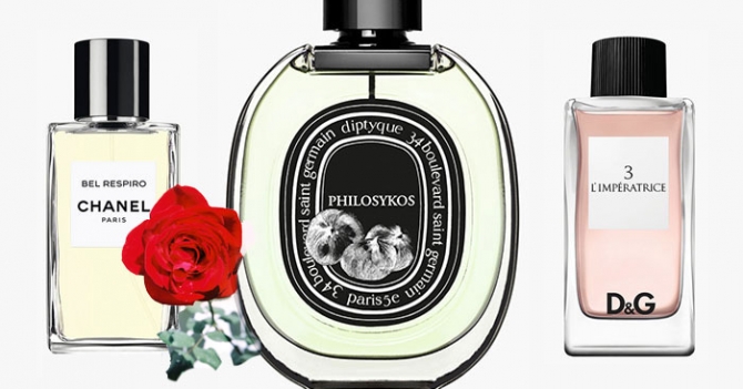 Я услышу тебя: 7 лучших женских ароматов для свиданий