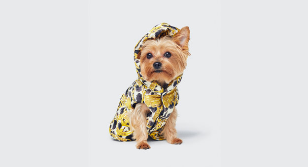 H&M x Moschino представили лукбук совместной коллекции