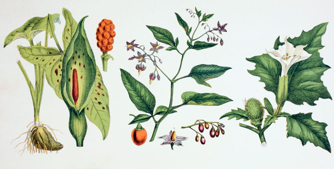 Как создавать популярные парфюмерные фланкеры