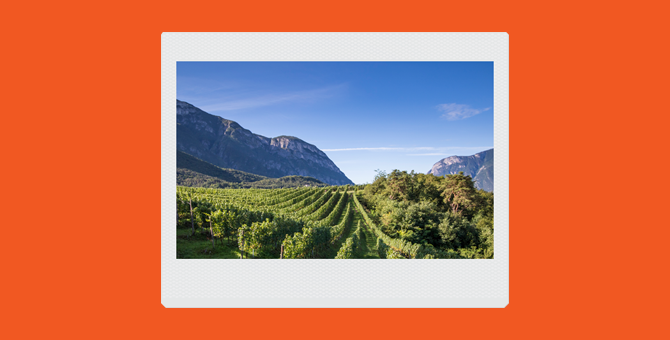 «Все важные события в Италии отмечаются за ланчем или ужином». Интервью с главой Lunelli Group Маттео Лунелли