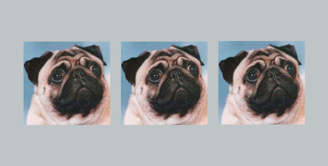 8 смешных и абсурдных пабликов во «ВКонтакте»