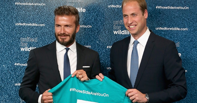 Дэвид Бекхэм и принц Уильям призвали бороться с браконьерством